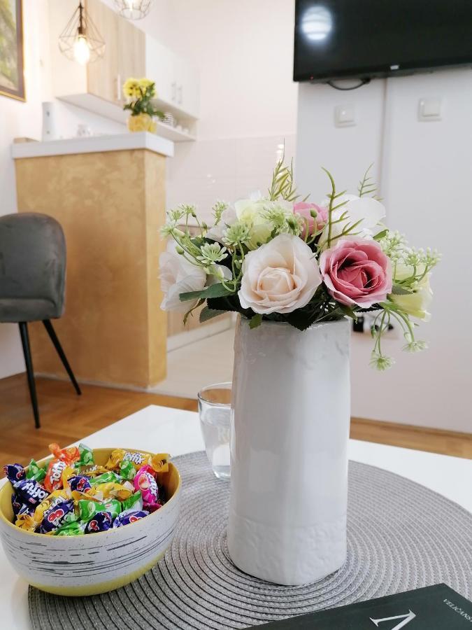 Apartman Mia Σρέμσκα Μιτρόβιτσα Εξωτερικό φωτογραφία